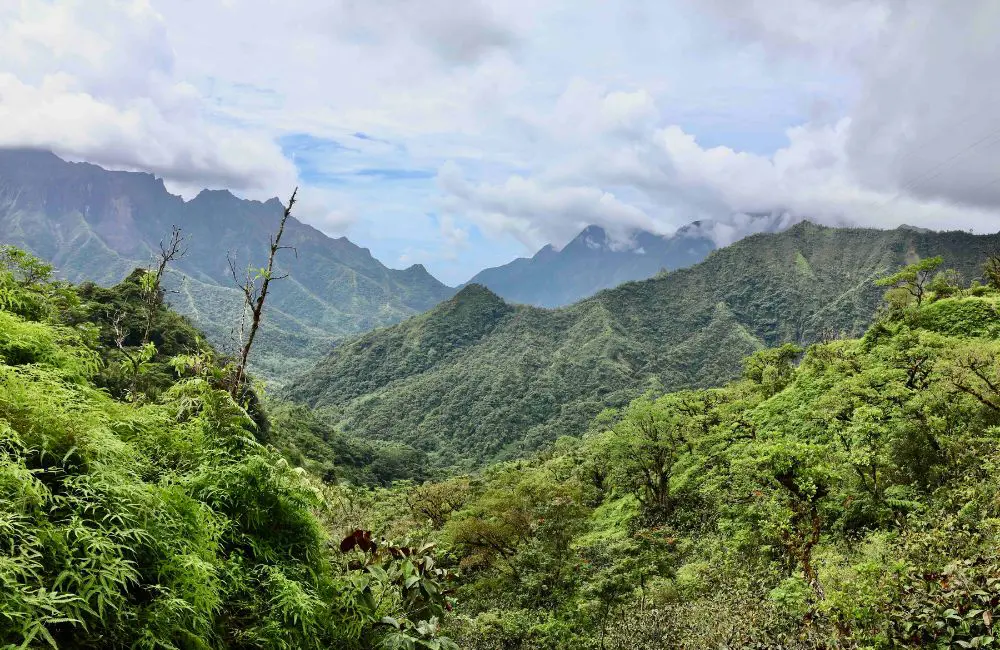 Flight Review: Air Tahiti Nui’s new Manava Premium Class 4 The Tahitian valley
