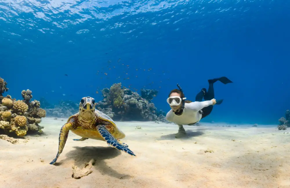 Kids who cruise: four expedition cruises for adventurous families 1 Up-close encounters with wildlife in the Galapagos © neom