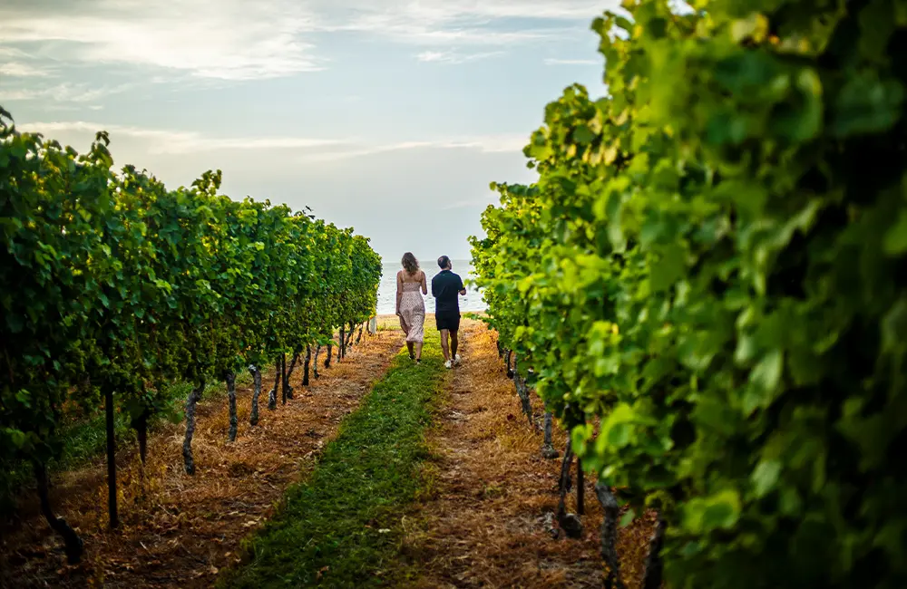 Flowing Together: How Ontario inspired Canada’s Strategic Advisory Group (and will inspire you too) 7 Wine