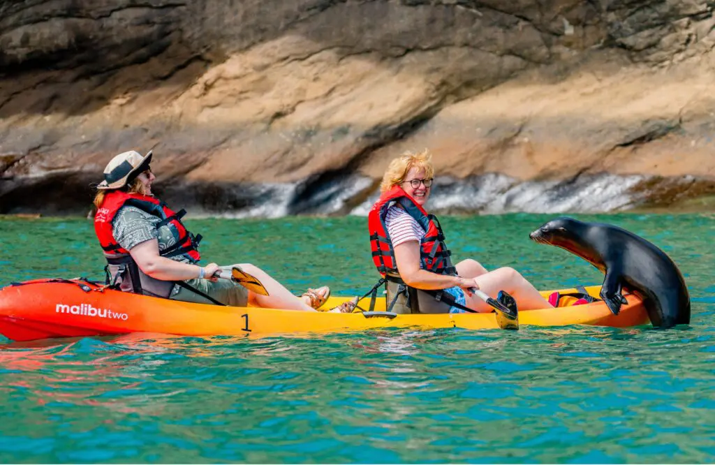 HX Launch Alert: 27/28 Voyages + Black Friday & Rewards 3 1000x650 25