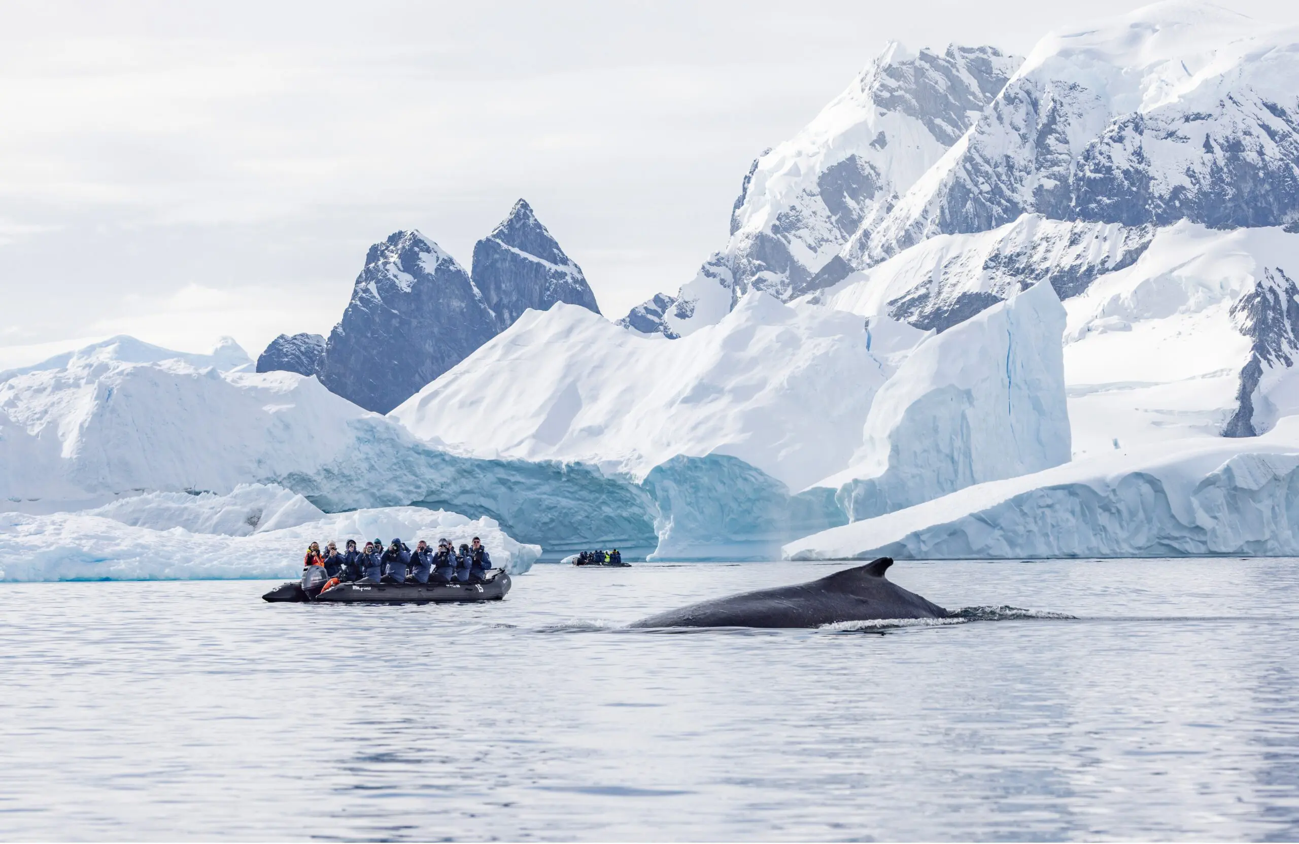 HX Launch Alert: 27/28 Voyages + Black Friday & Rewards 1 1000x650 27 scaled