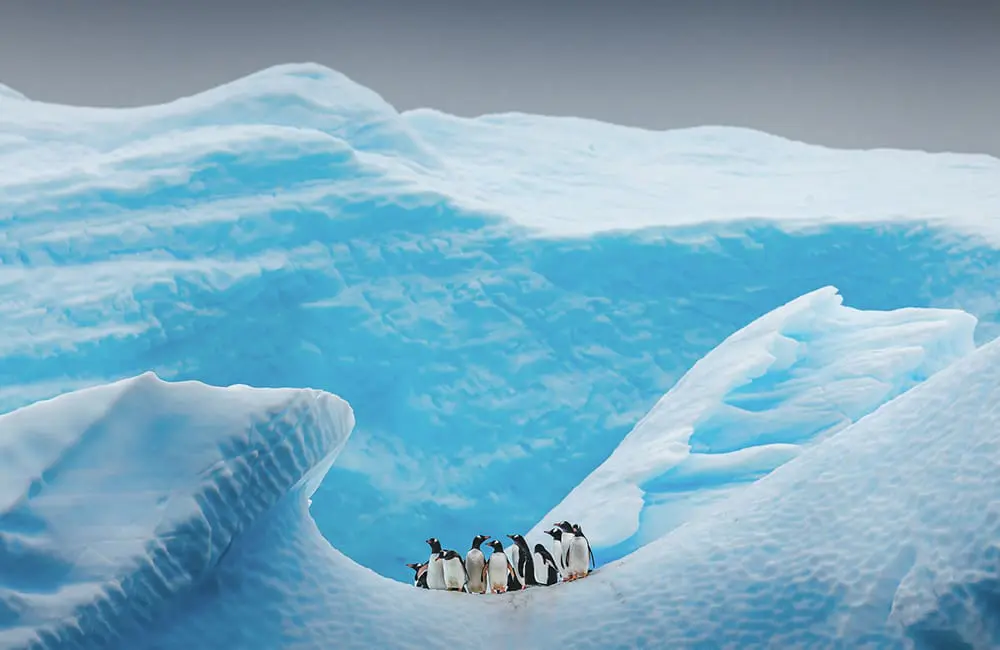 A&K Antarctica – Black Friday 2025