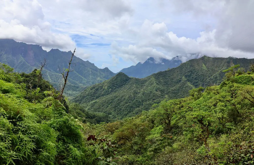 Te Mana Tahiti Tours valley tour © Kirstie Bedford