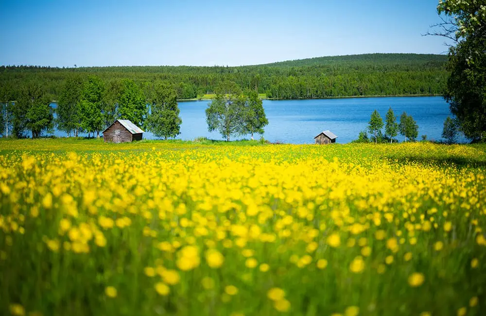We’ll prescribe you a country: What Euro nation do doctors recommend for wellness travel? 1 Revel in nature in the town of Övertorneå in Northern Sweden – wellness travel Image: Nanaka Adashi/imagebank.sweden.se