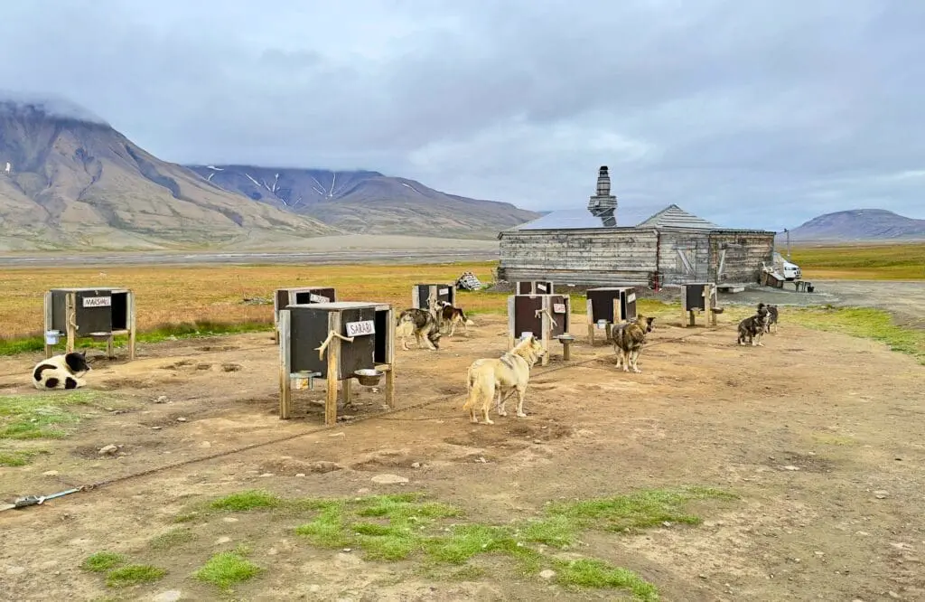 Arctic travel review: FIT vs expedition cruising 2 Expedition