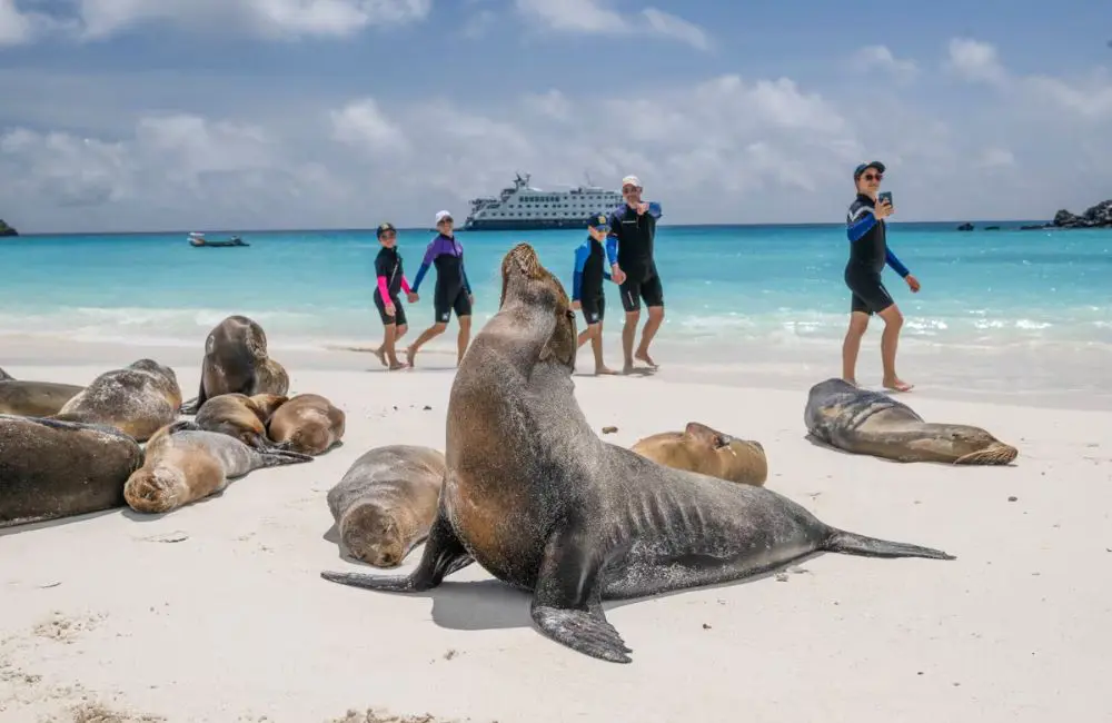 How to choose the right Galapagos cruise for your clients