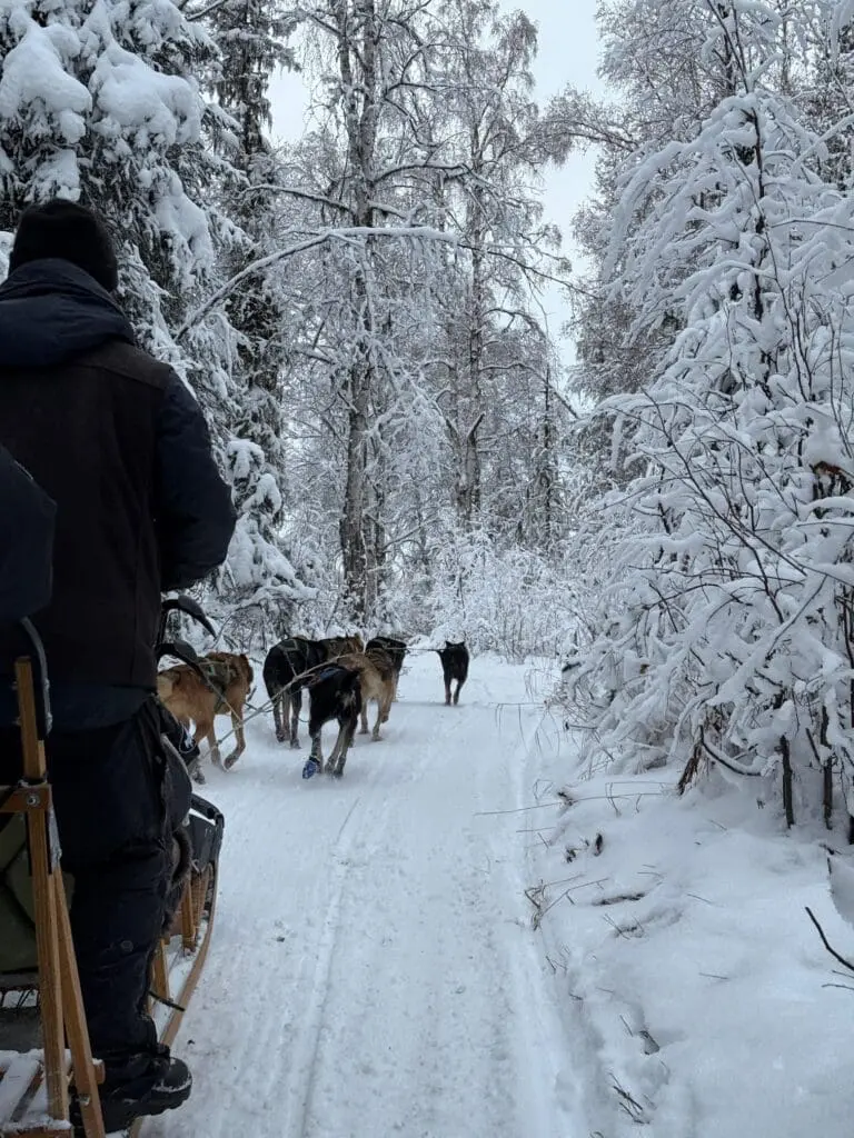 It’s a wrap: 15 top advisors, 5 incredible US fams + 2026 famil news 20 Dog Sledding