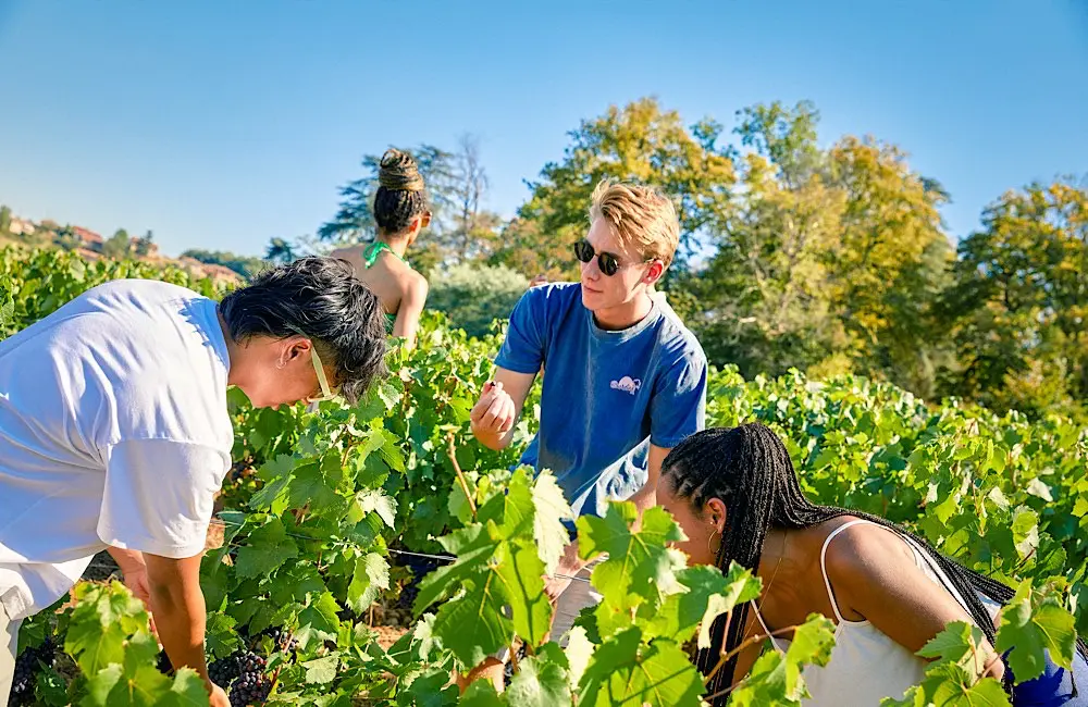 The world's most expensive passport is free if you book this Europe trip 3 Young Australians face rising upfront costs before their first overseas trip. passport