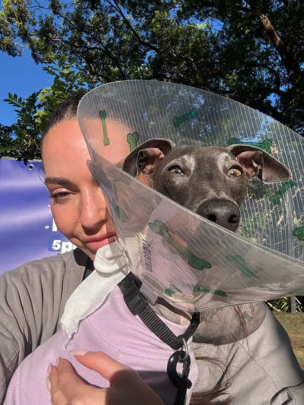 Dog in collar held by woman – pet-friendly travel