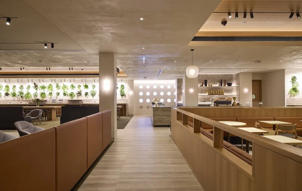 More space, more comfort: Qantas opens new Auckland lounge for peak season 2 Qantas' new Auckland International Lounge.