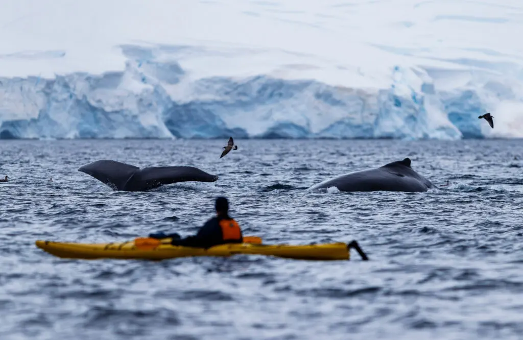 Read this for a bonus offer that’ll make you say yes to the Arctic & Antarctic in 2026 3 Quark Expeditions
