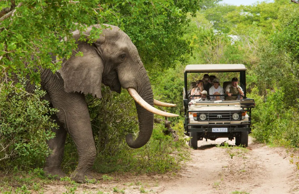 Collette: new year, new trips with epic gift card incentive & New Year Sale