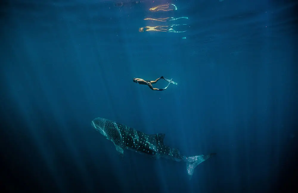 Go slow, go west: BKB Holidays wants Aussies to travel deeper in WA