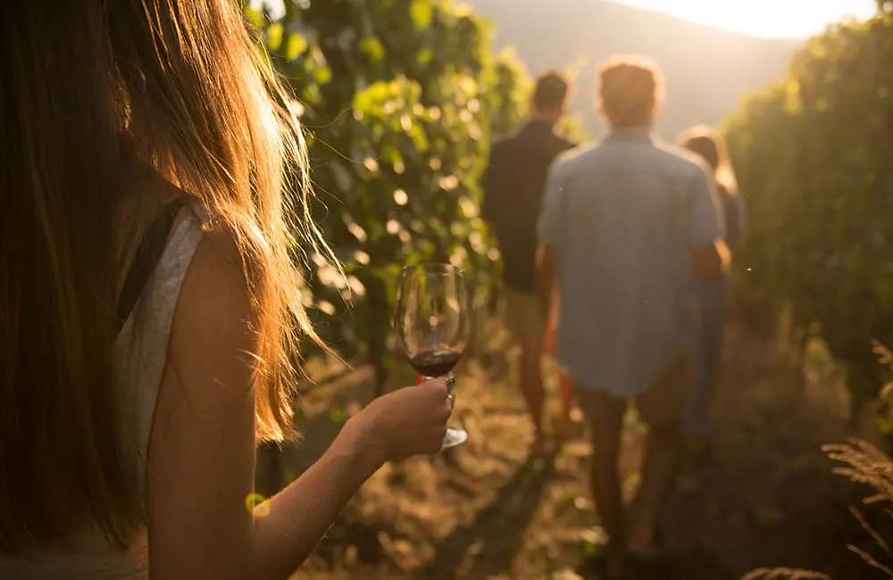 Group walking through vineyards at Painted Rock Estate Winery in the Okanagan Valley. Image: Destination BC/ Kari Medig