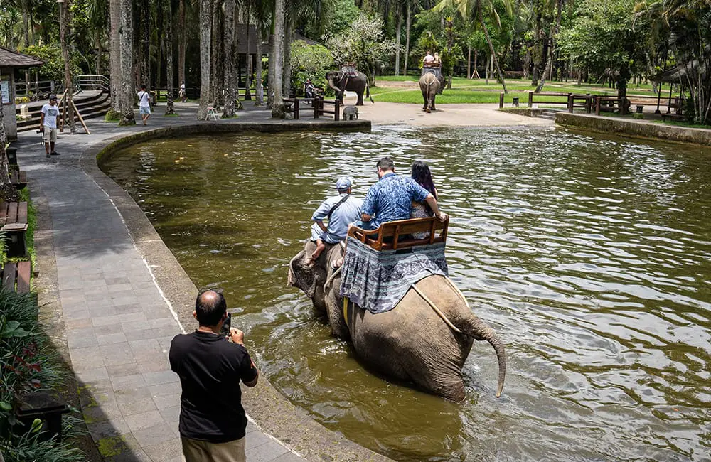 Indonesia elephant ride ban at Mason Elephant Park & Lodge. Image: Andito Wasi/Mason Elephant Park & Lodge