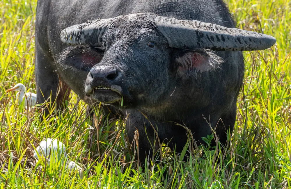 Major insurer reveals costliest & weirdest domestic travel claims of 2025