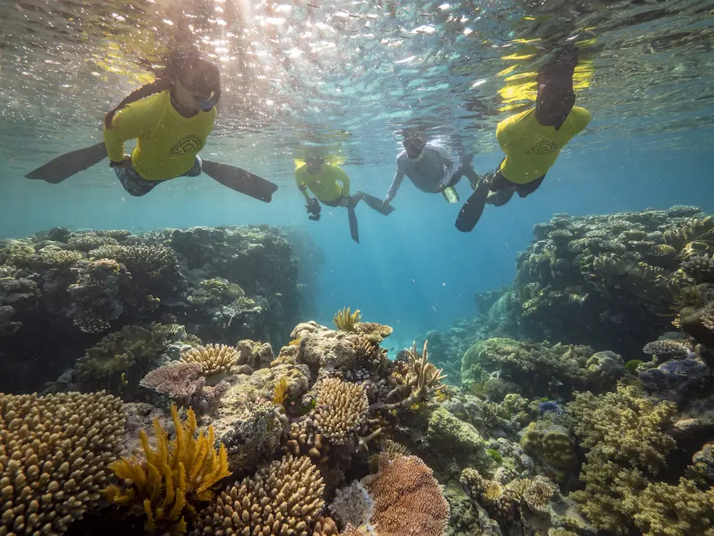 Queensland’s Barrier Reef campaigns earn global recognition at regenerative travel awards