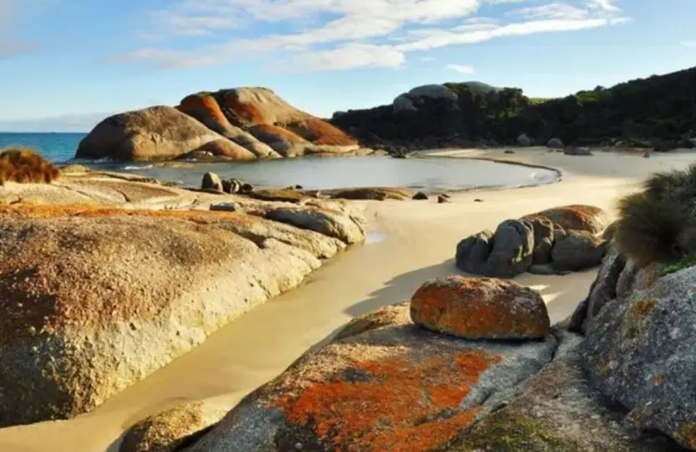 Three Hummock Island © https://www.threehummockisland.com.au/