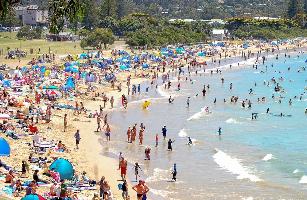 Where Aussies summer holidayed hard (and local businesses cashed in)