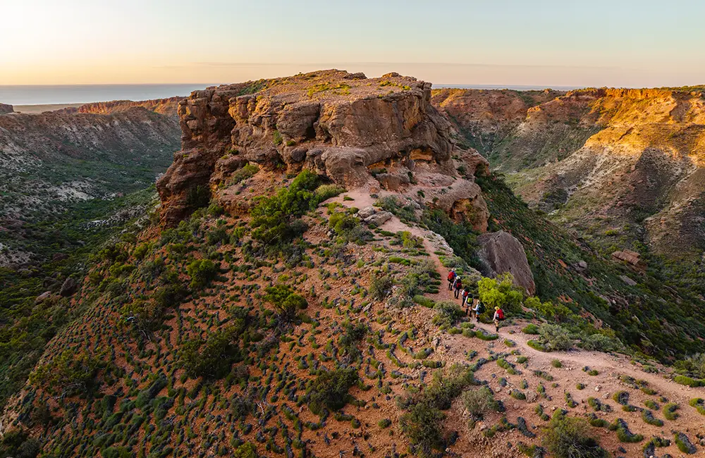 Experience Western Australia’s Dream Collective