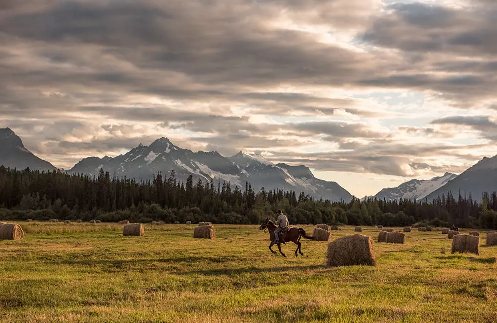 Adventurous, natural, wild: 3 more iconic British Columbia journeys for 2026 itineraries 2 Horseriding at Bracewell's Alpine Wilderness Adventures at Tatyaloko Lake in the Chilcotin area. Image: Kari Medig/Destination BC