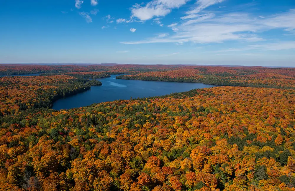 Aerial image of Algonquin Provincial Park in Ontario in autumn with fall foliage on display.