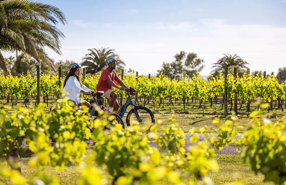 Couple cycling through vineyards at Elephant Hill Winery in Hawke’s Bay – Tourism New Zealand Active Escapes campaign. Image: Graeme Murray