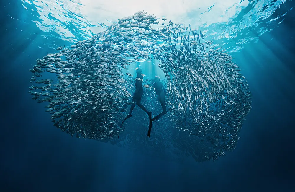 From dream to destination: New campaign creative sparks global bookings for Western Australia