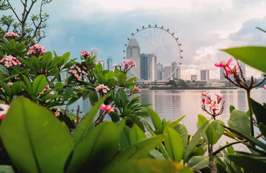 No more Sydney detours for Hunter-region travellers: NTL-SIN launching next week