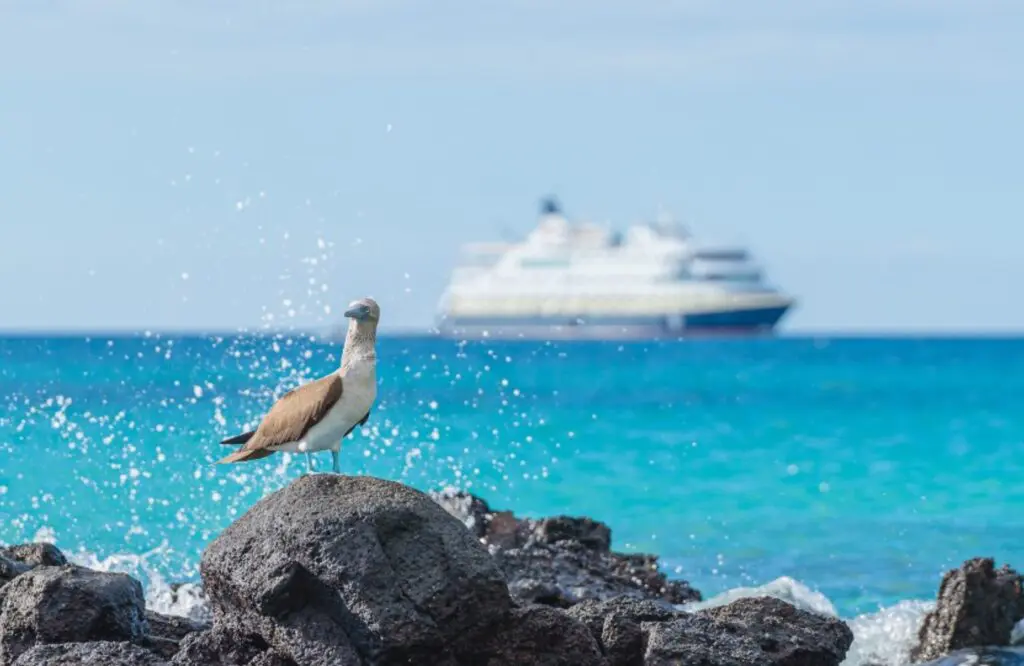 Is this the perfect destination for your clients who’ve seen it all?