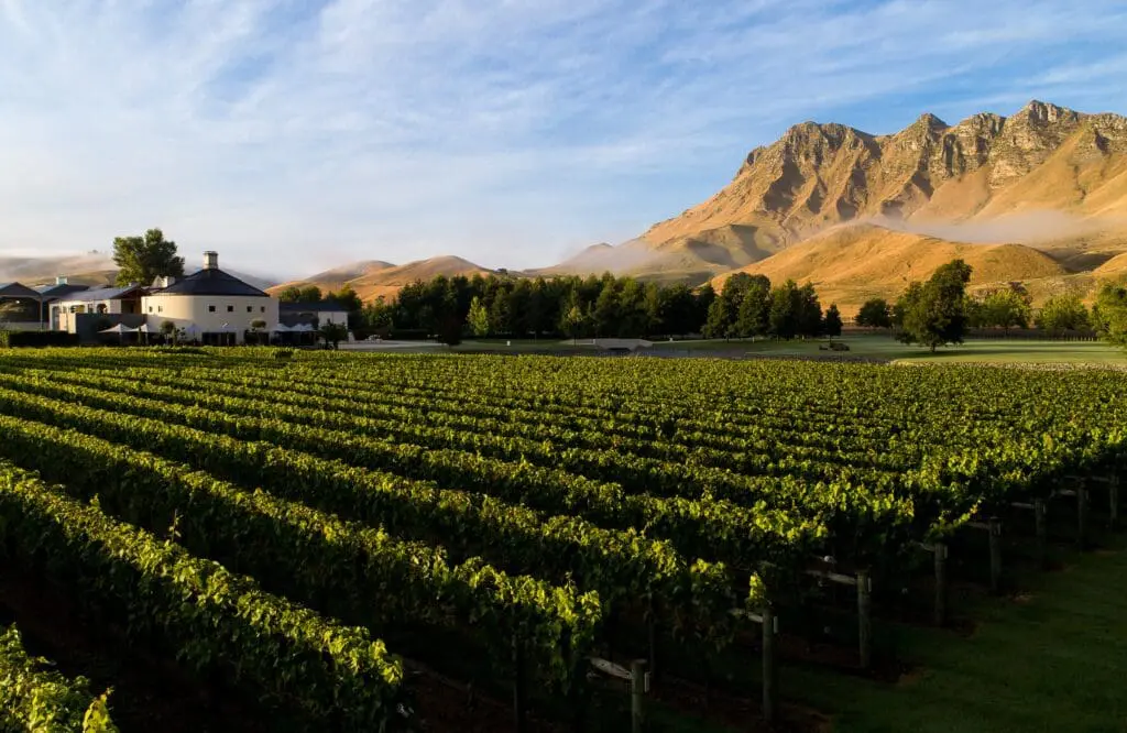 It’s wine o’clock somewhere: is this New Zealand's best-kept road trip secret? 6 1000x650 33 1