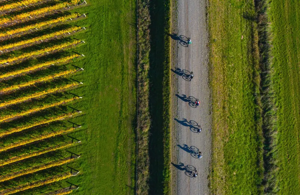 It’s wine o’clock somewhere: is this New Zealand's best-kept road trip secret? 4 1000x650 34 1