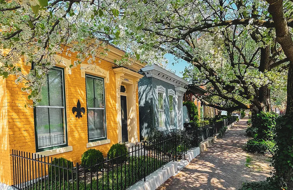 Louisville Viva Holidays