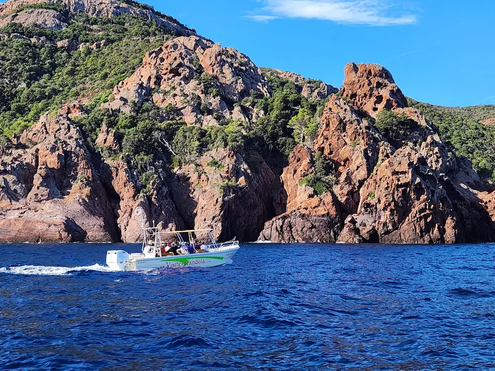 Explore Scandola Nature Reserve by speedboat