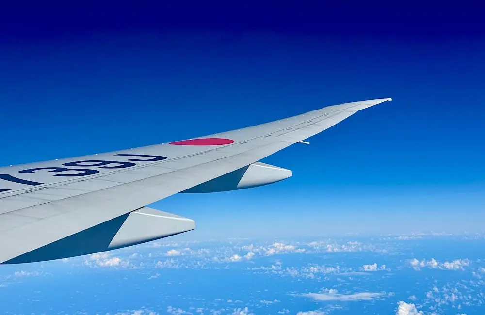 Not all economy cabins feel the same: Flight review Japan Airlines Flight 52 Sydney to Haneda