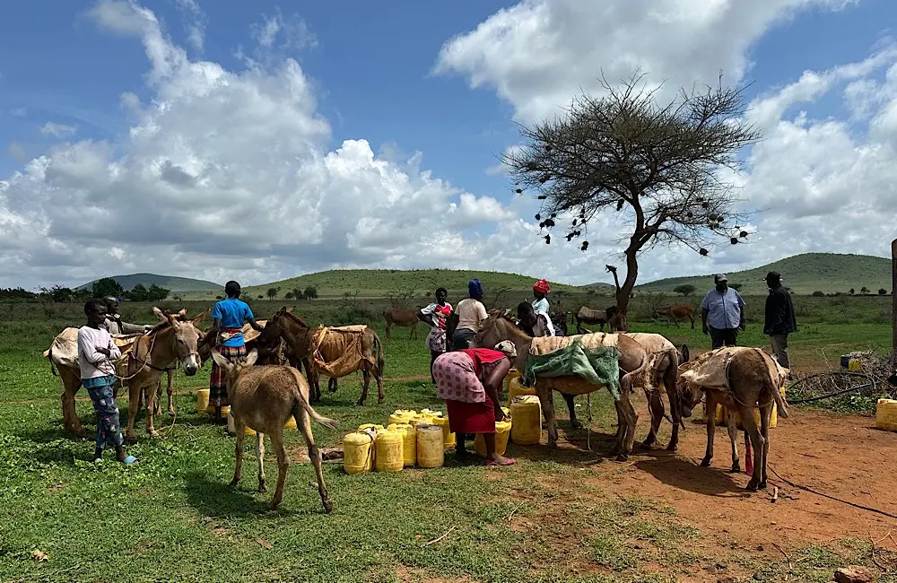 For many women in Kajiado County, daily life includes a 15km round trip to collect water before walking several kilometres to attend training at the Patinaai Osim hub.