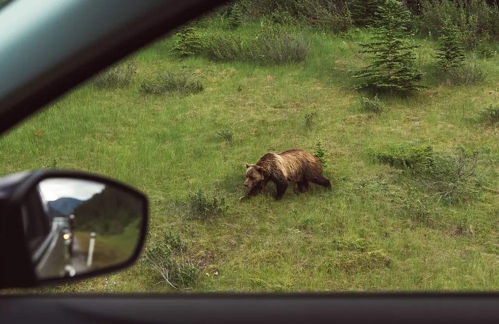 Banff National Park, Alberta