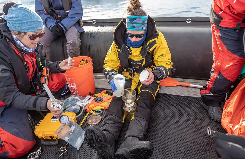 documenting rare spawning behaviour of Antarctic blackfin icefish near Danco Island – HX Expeditions – Genna Roland