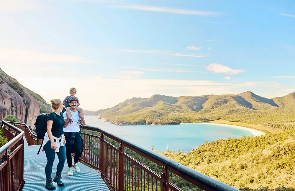 Inbound demand steady, but forward bookings dip: ATEC flags mid-year slowdown