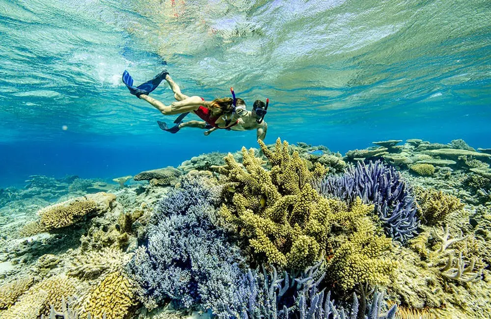 New Caledonia Voyages