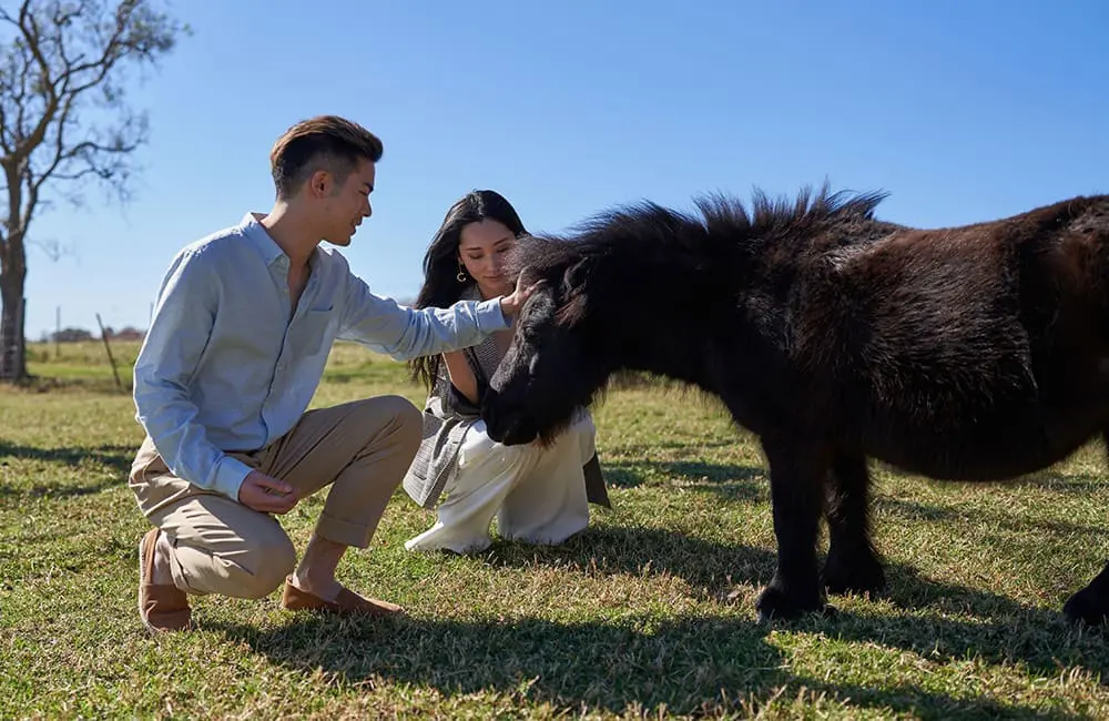 Couple pat a tiny horse at Greyleigh, a uniquely beautiful property in Kiama. Image: Destination NSW