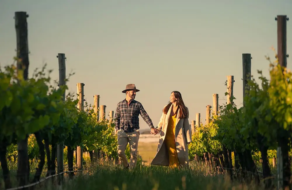 Couple walking through the vineyards at Ross Hill Wines in Orange. Image: Destination NSW for 2026 NSW Top Tourism Towns