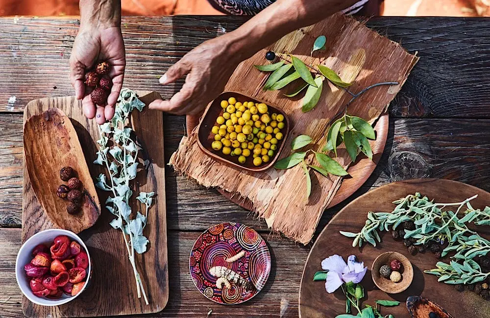 Bush Food Tour Voyages First Nations