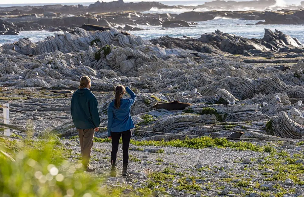 Kaikōura Peninsula Walkway. Image: Miles Holden for Tourism New Zealand Active Escapes
