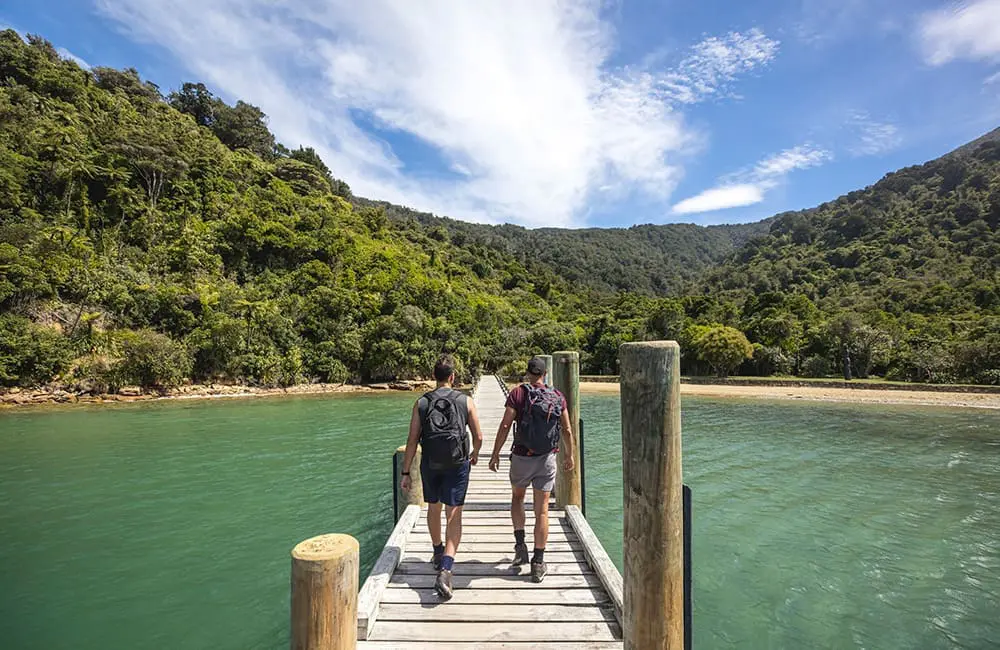 Queen Charlotte Track in Marlborough. Image: Miles Holden – Tourism New Zealand Active Escapes