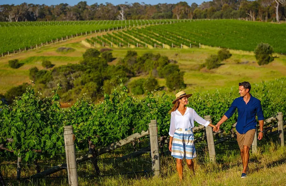 Couple walking in vineyard at Wills Domain Winery in Margaret River, WA. Image: Tourism WA