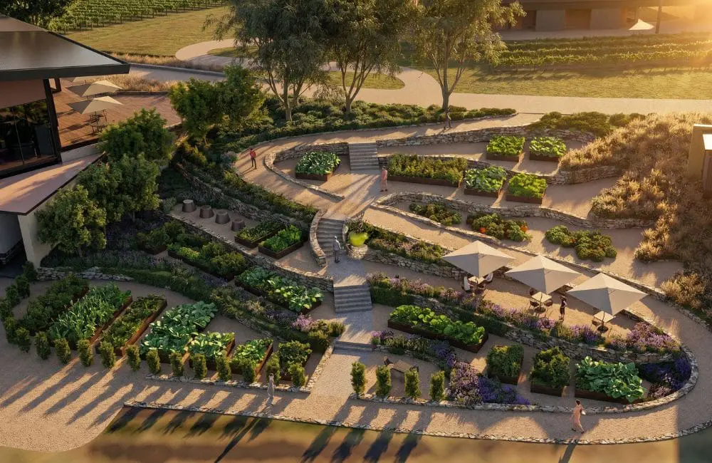 The kitchen garden at Laval Hunter Valley