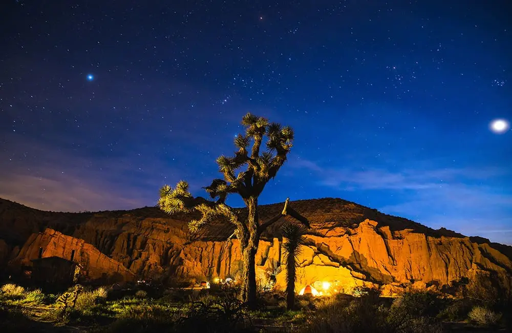 Joshua Tree National Park. Image: Visit California