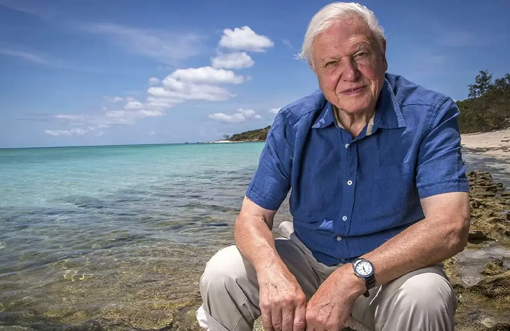 Celebrating 100: Sir David Attenborough, the OG travel influencer who actually went everywhere