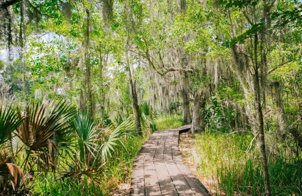 Discover New Orleans and the Soul of the South with Viva Holidays 8 1000x650 28